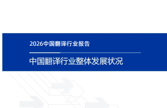 2025 年中国翻译行业整体发展状况