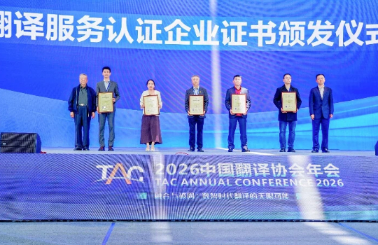 2025 年中国翻译行业整体发展状况